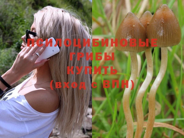 мяу мяу кристалл Алзамай