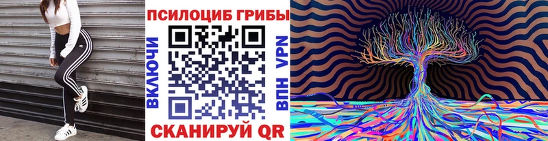 Галлюциногенные грибы мицелий  OMG ТОР  Череповец 