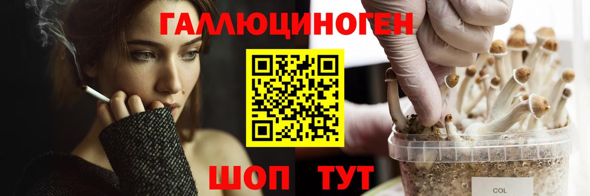 Галлюциногенные грибы Cubensis Череповец